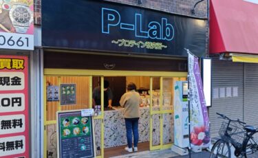 P-Lab プロテイン研究所